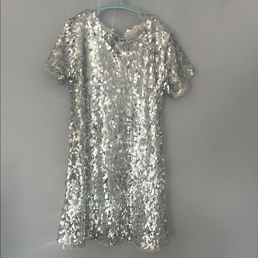 Zara Silver Sequin Sheath Dress V-Neck Flutter Sleeves